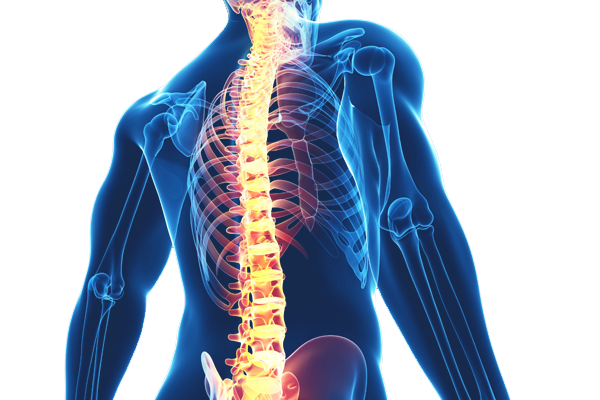 back pain prevention